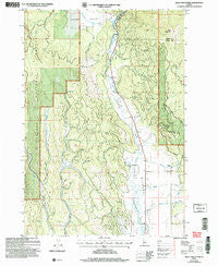 Bally Mountain Idaho Historical topographic map, 1:24000 scale, 7.5 X 7.5 Minute, Year 2004