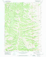 Bannock Peak Idaho Historical topographic map, 1:24000 scale, 7.5 X 7.5 Minute, Year 1971
