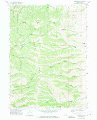 Bannock Peak Idaho Historical topographic map, 1:24000 scale, 7.5 X 7.5 Minute, Year 1971