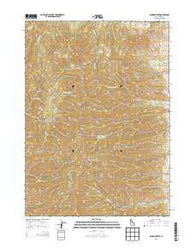 Bannock Peak Idaho Current topographic map, 1:24000 scale, 7.5 X 7.5 Minute, Year 2013
