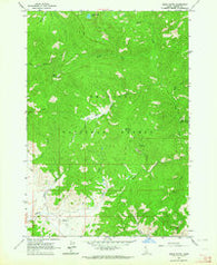 Basin Butte Idaho Historical topographic map, 1:24000 scale, 7.5 X 7.5 Minute, Year 1963