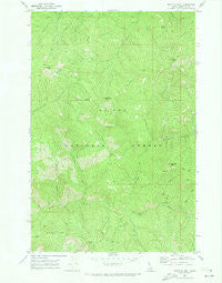 Bathtub Mtn Idaho Historical topographic map, 1:24000 scale, 7.5 X 7.5 Minute, Year 1969