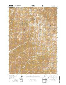 Baugh Creek SW Idaho Current topographic map, 1:24000 scale, 7.5 X 7.5 Minute, Year 2013