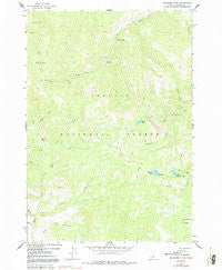 Bayhorse Lake Idaho Historical topographic map, 1:24000 scale, 7.5 X 7.5 Minute, Year 1963