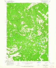 Bayhorse Lake Idaho Historical topographic map, 1:24000 scale, 7.5 X 7.5 Minute, Year 1963