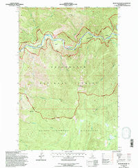 Bear Mountain Idaho Historical topographic map, 1:24000 scale, 7.5 X 7.5 Minute, Year 1994