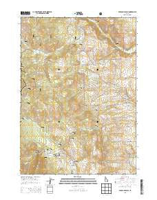 Bear Camp Gulch Idaho Current topographic map, 1:24000 scale, 7.5 X 7.5 Minute, Year 2013