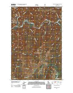 Bear Mountain Idaho Historical topographic map, 1:24000 scale, 7.5 X 7.5 Minute, Year 2011