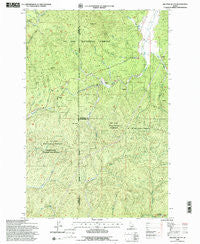 Bechtel Butte Idaho Historical topographic map, 1:24000 scale, 7.5 X 7.5 Minute, Year 1994