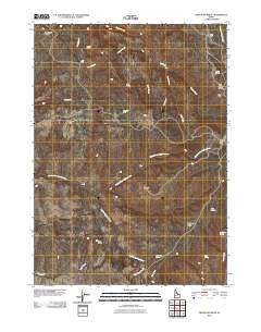 Bedstead Ridge Idaho Historical topographic map, 1:24000 scale, 7.5 X 7.5 Minute, Year 2010