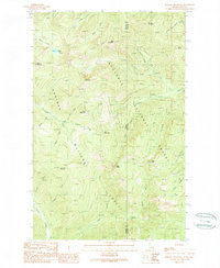 Benning Mountain Idaho Historical topographic map, 1:24000 scale, 7.5 X 7.5 Minute, Year 1989