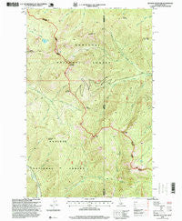 Benning Mountain Idaho Historical topographic map, 1:24000 scale, 7.5 X 7.5 Minute, Year 1996