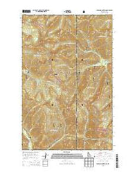 Benning Mountain Idaho Current topographic map, 1:24000 scale, 7.5 X 7.5 Minute, Year 2013