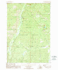 Bernard Mountain Idaho Historical topographic map, 1:24000 scale, 7.5 X 7.5 Minute, Year 1988