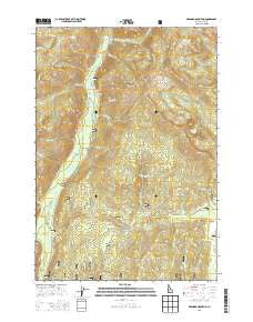Bernard Mountain Idaho Current topographic map, 1:24000 scale, 7.5 X 7.5 Minute, Year 2013