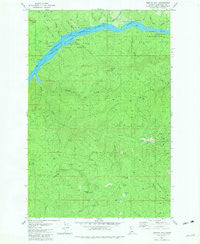 Bertha Hill Idaho Historical topographic map, 1:24000 scale, 7.5 X 7.5 Minute, Year 1981