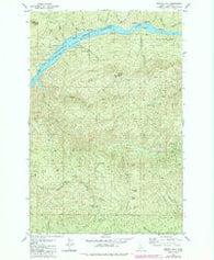 Bertha Hill Idaho Historical topographic map, 1:24000 scale, 7.5 X 7.5 Minute, Year 1981