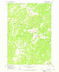 Big Baldy Idaho Historical topographic map, 1:24000 scale, 7.5 X 7.5 Minute, Year 1973