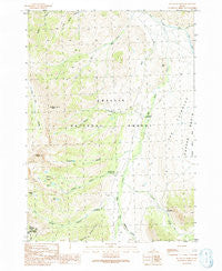 Big Black Dome Idaho Historical topographic map, 1:24000 scale, 7.5 X 7.5 Minute, Year 1991