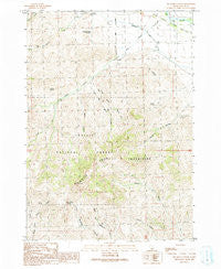 Big Blind Canyon Idaho Historical topographic map, 1:24000 scale, 7.5 X 7.5 Minute, Year 1991