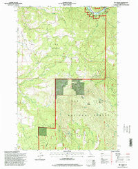 Big Cedar Idaho Historical topographic map, 1:24000 scale, 7.5 X 7.5 Minute, Year 1995