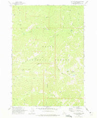 Big Chief Creek Idaho Historical topographic map, 1:24000 scale, 7.5 X 7.5 Minute, Year 1973