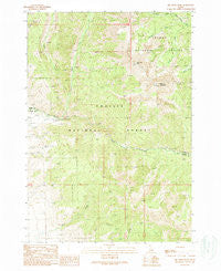 Big Creek Peak Idaho Historical topographic map, 1:24000 scale, 7.5 X 7.5 Minute, Year 1989