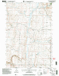 Big Creek Ranch Idaho Historical topographic map, 1:24000 scale, 7.5 X 7.5 Minute, Year 2001