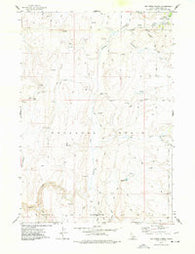 Big Creek Ranch Idaho Historical topographic map, 1:24000 scale, 7.5 X 7.5 Minute, Year 1977