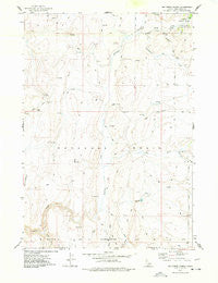 Big Creek Ranch Idaho Historical topographic map, 1:24000 scale, 7.5 X 7.5 Minute, Year 1977