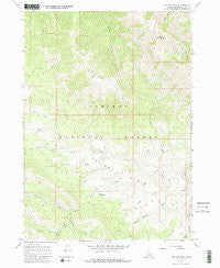 Big Elk Mtn Idaho Historical topographic map, 1:24000 scale, 7.5 X 7.5 Minute, Year 1966