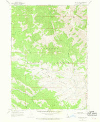 Big Elk Mtn Idaho Historical topographic map, 1:24000 scale, 7.5 X 7.5 Minute, Year 1966