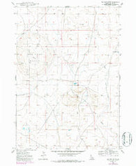 Big Foot Butte Idaho Historical topographic map, 1:24000 scale, 7.5 X 7.5 Minute, Year 1948