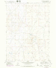 Big Foot Butte Idaho Historical topographic map, 1:24000 scale, 7.5 X 7.5 Minute, Year 1948