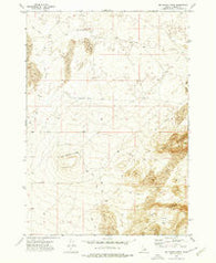 Big Grassy Ridge Idaho Historical topographic map, 1:24000 scale, 7.5 X 7.5 Minute, Year 1972