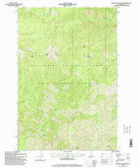 Big Rock Mountain Idaho Historical topographic map, 1:24000 scale, 7.5 X 7.5 Minute, Year 1995