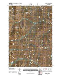 Big Chief Creek Idaho Historical topographic map, 1:24000 scale, 7.5 X 7.5 Minute, Year 2011