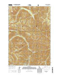 Big Creek Idaho Current topographic map, 1:24000 scale, 7.5 X 7.5 Minute, Year 2013