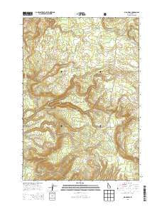 Big Grassy Idaho Current topographic map, 1:24000 scale, 7.5 X 7.5 Minute, Year 2013