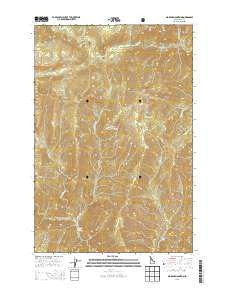 Big Rock Mountain Idaho Current topographic map, 1:24000 scale, 7.5 X 7.5 Minute, Year 2013