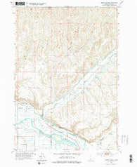 Birding Island Idaho Historical topographic map, 1:24000 scale, 7.5 X 7.5 Minute, Year 1952