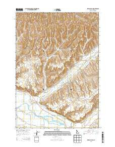 Birding Island Idaho Current topographic map, 1:24000 scale, 7.5 X 7.5 Minute, Year 2013
