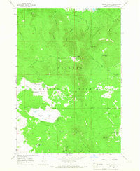 Bishop Mountain Idaho Historical topographic map, 1:24000 scale, 7.5 X 7.5 Minute, Year 1965