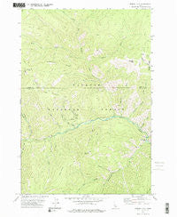 Bismark Mtn Idaho Historical topographic map, 1:24000 scale, 7.5 X 7.5 Minute, Year 1973