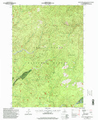Black Hawk Mountain Idaho Historical topographic map, 1:24000 scale, 7.5 X 7.5 Minute, Year 1995