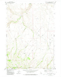 Black Leg Creek Idaho Historical topographic map, 1:24000 scale, 7.5 X 7.5 Minute, Year 1979