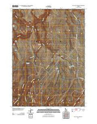Black Leg Creek Idaho Historical topographic map, 1:24000 scale, 7.5 X 7.5 Minute, Year 2010