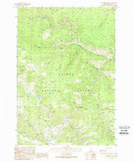 Blackbird Creek Idaho Historical topographic map, 1:24000 scale, 7.5 X 7.5 Minute, Year 1989
