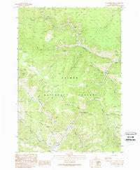 Blackbird Creek Idaho Historical topographic map, 1:24000 scale, 7.5 X 7.5 Minute, Year 1989