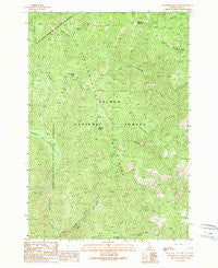Blackbird Mountain Idaho Historical topographic map, 1:24000 scale, 7.5 X 7.5 Minute, Year 1989